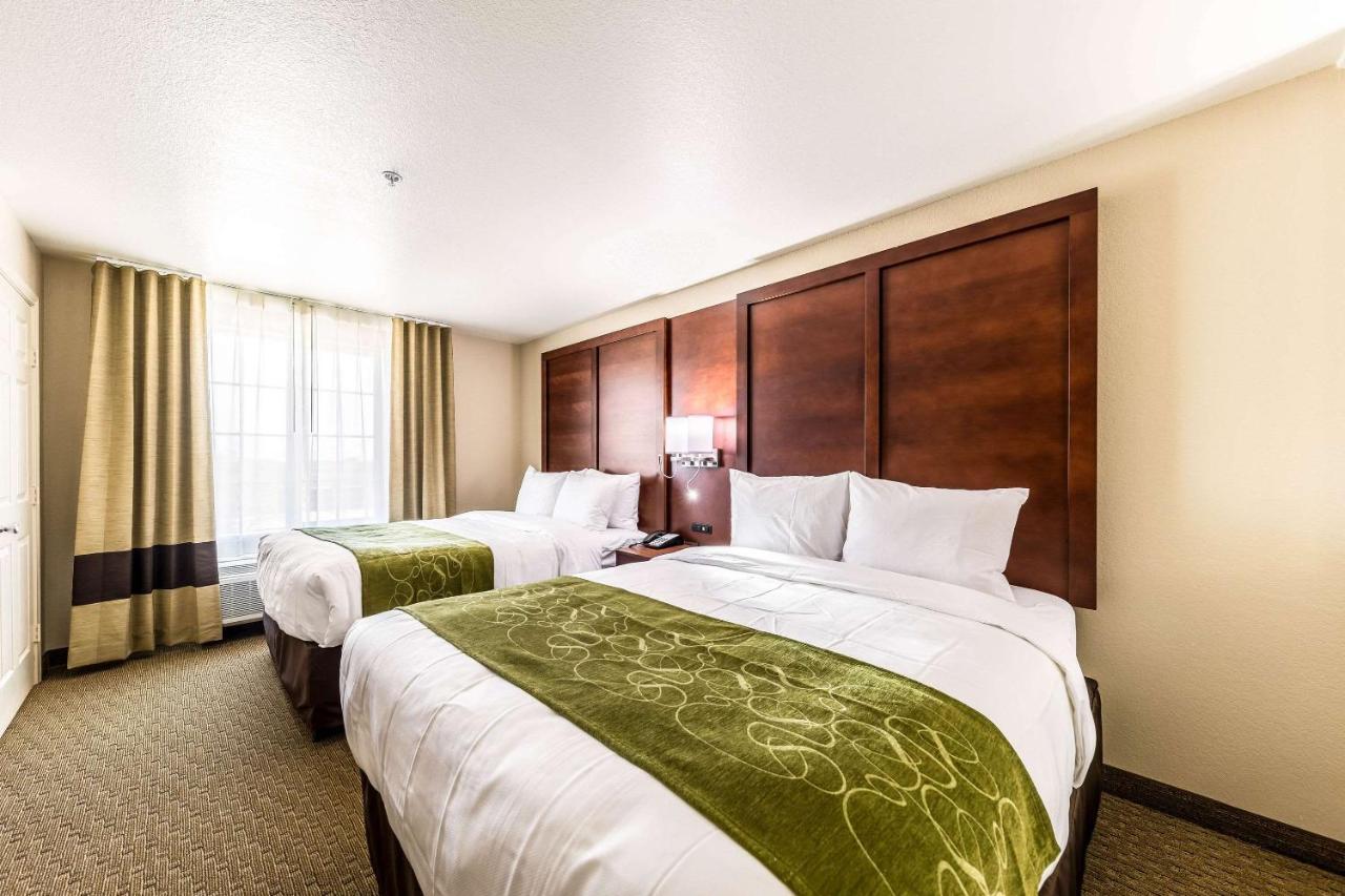 Comfort Suites Grand Prairie - Arlington North Εξωτερικό φωτογραφία