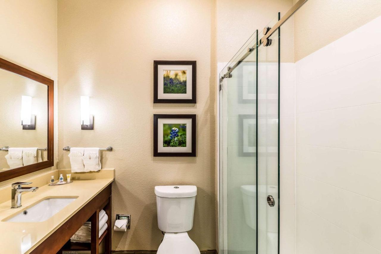 Comfort Suites Grand Prairie - Arlington North Εξωτερικό φωτογραφία